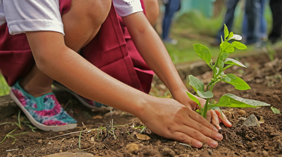 Día de la conciencia ambiental